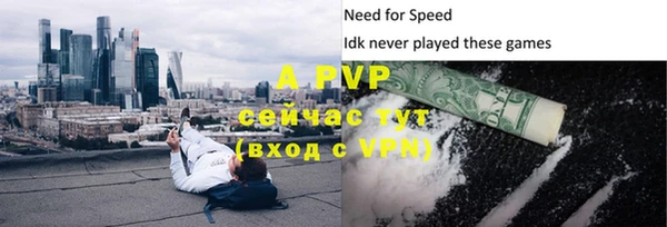 Альфа ПВП Новозыбков