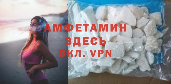 ГАЛЛЮЦИНОГЕННЫЕ ГРИБЫ Богданович