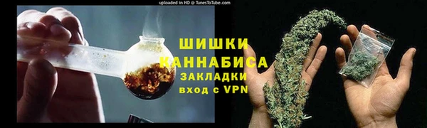 тгк Новодвинск