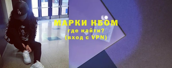 стафф Новокубанск