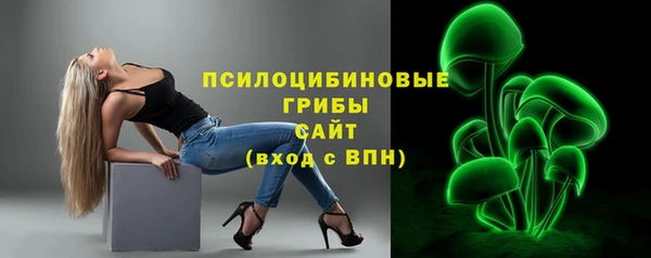 Альфа ПВП Новозыбков