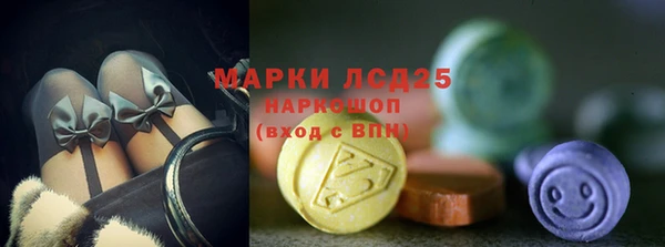 тгк Новодвинск