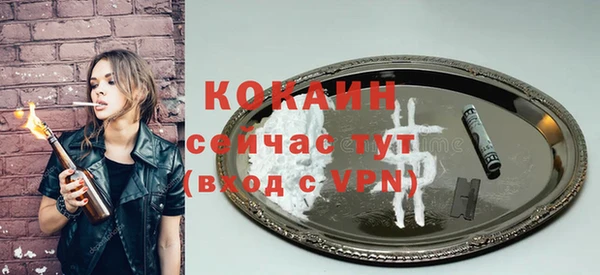 Альфа ПВП Новозыбков