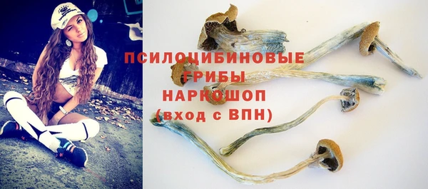 стафф Новокубанск