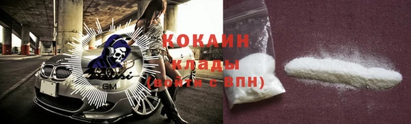 тгк Новодвинск