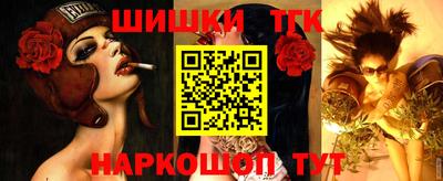крисы Ирбит
