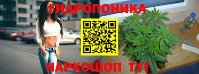 крисы Ирбит