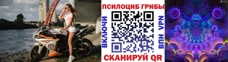 цены   Новороссийск  Псилоцибиновые грибы мухоморы 