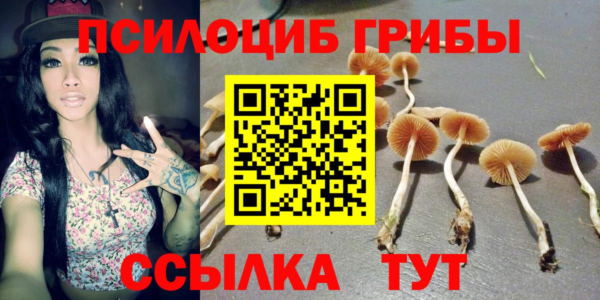 Галлюциногенные грибы Cubensis  Псилоцибиновые грибы Psilocybe  Новороссийск  Вход с VPN 